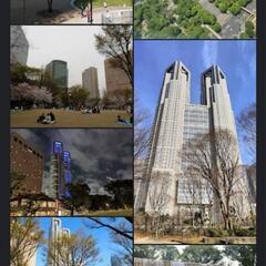11/11土曜日❗11/12日曜日❗新宿の公園で、激安イベント！...