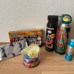 【11/29午後】ゴキブリ退治セット