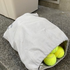 お話中　テニスボール譲ります　約40個