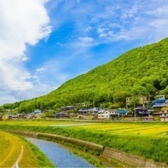 丹波方言のインタビュー調査の画像