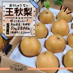 【適熟】鳥取県産 王秋梨 5kg
