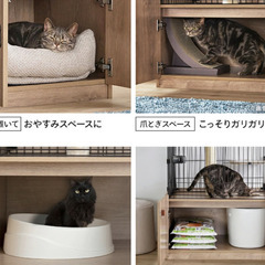 11月9日で締め切ります【中古】猫　ゲージ　おしゃれの画像