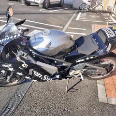 RVT250RR 激レア　改造多数の画像