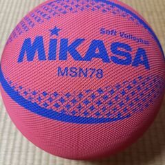 ソフトバレー男女メンバー⚾️大募集！
