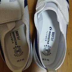 11月10日限定　体育館シューズの画像