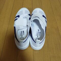 11月10日限定　体育館シューズ
