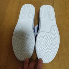 11月10日限定　体育館シューズの画像