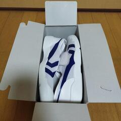 11月10日限定　体育館シューズの画像