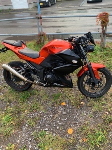 カワサキ kawasa  Z250