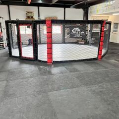 総合格闘技 SAI-GYM 燕道場の画像
