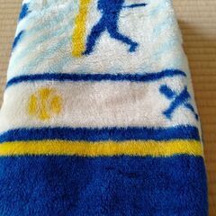 イチロウの膝掛けの画像
