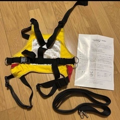 スキー　イグニオ　滑走補助具 ジュニアグライドサポーターの画像