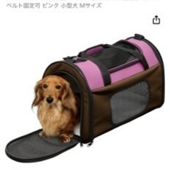 アイリスオーヤマ  犬 猫 折りたたみキャリー バッグ