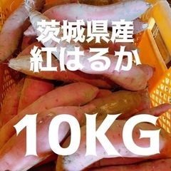 紅はるか 10kg 熟成済 ねっとり焼き芋にできます