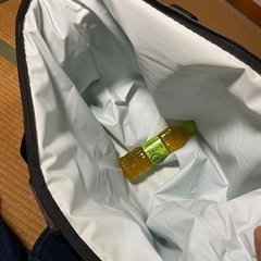 AOクーラー　旧ロゴ　48パック　ソフトクーラー　キャンプの画像