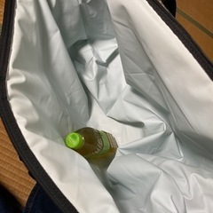 AOクーラー　旧ロゴ　48パック　ソフトクーラー　キャンプの画像