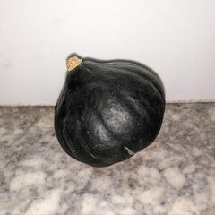 数量限定❗かぼちゃ無農薬10キロ❗北海道産❗野菜の画像