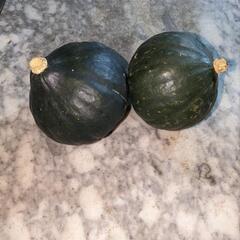 数量限定❗かぼちゃ無農薬10キロ❗北海道産❗野菜の画像