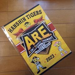 新品・未開封❗阪神タイガース　リーグ優勝記念クリアファイル　２枚の画像