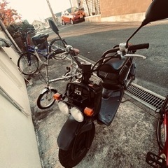 HONDA ズーマー(※今週金曜まで)