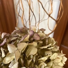 インテリア　木の画像