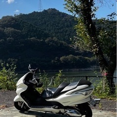 フォルツァZ MF08 