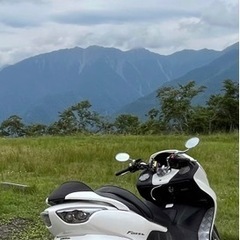 フォルツァZ MF08 の画像