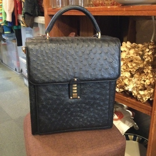 オーストリッチ　バッグ【F00246】