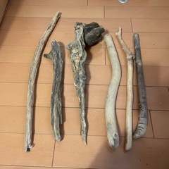 流木 ６個