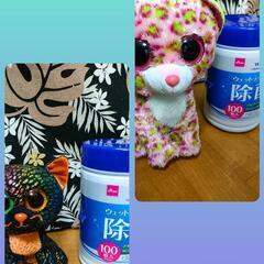 【値下げ！used】ぬいぐるみ キラキラキャット 2体の画像