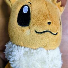 【used】ぬいぐるみ ポケモン イーブイの画像