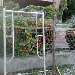 BT足場　他・色々セットの画像