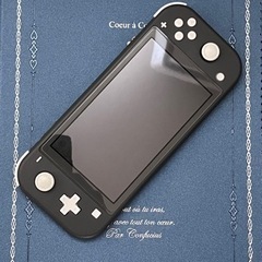 Nintendo switch lite  利用頻度少ない
