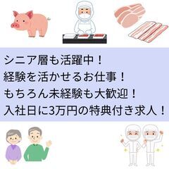 マイカー通勤OK！無料の駐車場完備！20~60代男女活躍中…
