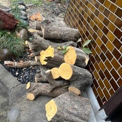 柿の木　薪にいかが。