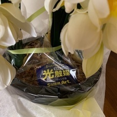 胡蝶蘭の造花の画像