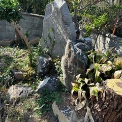無料！庭石各種　滝、池、飛石等。立派な庭石です