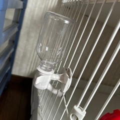 キャットケージ　アイリスオーヤマの画像