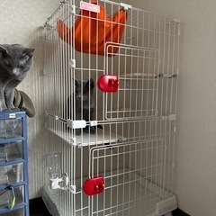 キャットケージ　アイリスオーヤマ
