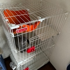 キャットケージ　アイリスオーヤマの画像
