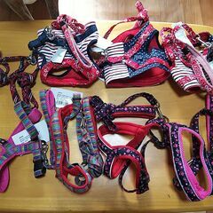 犬猫の保護活動者さんへ、ペット用品無料でお譲りしますの画像