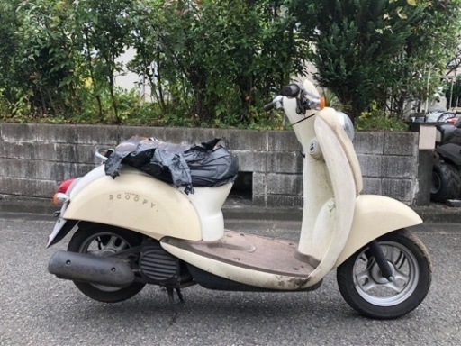 期間限定　ホンダ　スクーピー