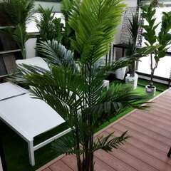 ②【処分価格】新品 アレカヤシ(160cm)　人工観葉植物 フェ...