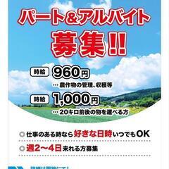 急募　農作業　