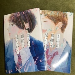 「きみの横顔を見ていた」1巻2巻セット/いちのへ瑠美