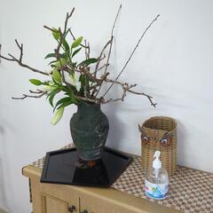 👘京王八王子駅近く着付け教室👘の画像