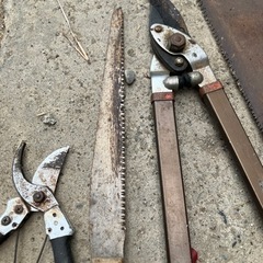 剪定道具セットの画像