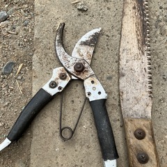 剪定道具セットの画像