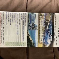 全日空　株主優待券　11月30日まで搭乗の画像