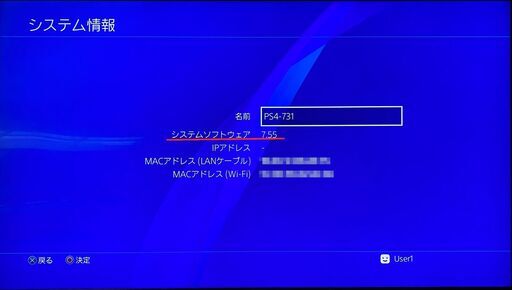 【FW9.00以下】プレステ4 PS4 CUH-2100BB02